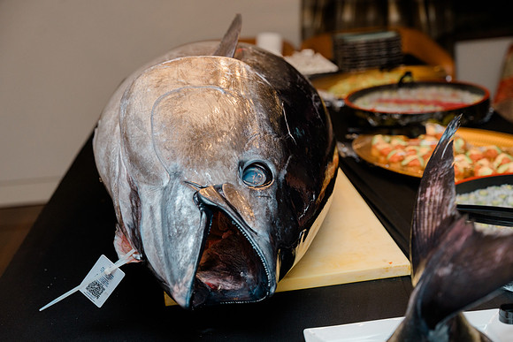 Hasc Bluefin Event 11.19.25