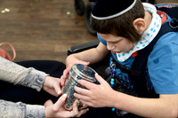 Album 12