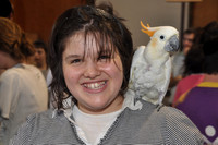 Parrot Rebbe & Pey Daled
